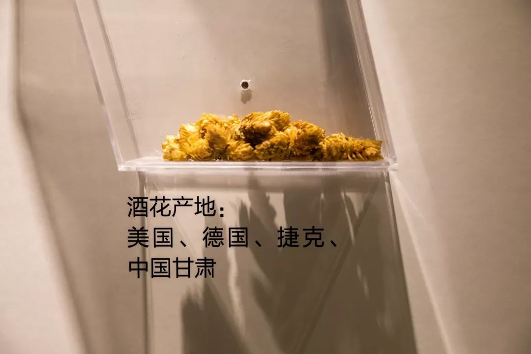 報(bào)告:我想去百威中國那個(gè)啤酒展覽館打卡品美酒佳肴|國潮范這么閃 - 第50張 - 會(huì)展活動(dòng)策劃CCASY.COM 報(bào)告:我想去百威中國那個(gè)啤酒展覽館打卡品美酒佳肴|國潮范這么閃 - 第50張