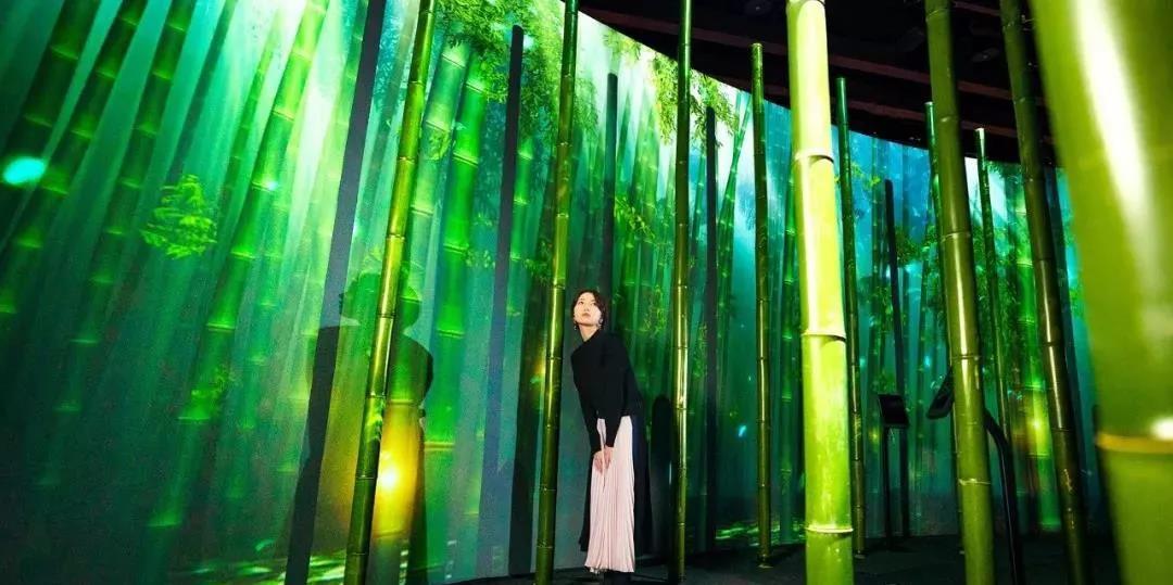 沉浸式的櫻花展覽策劃驚艷了廣大游客的目光，光影互動太厲害了！