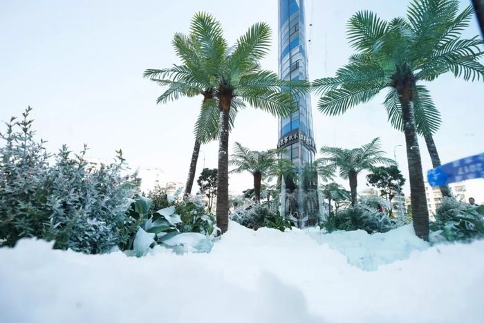 快閃店活動策劃暖了一生的陪伴，用一場22度的雪體驗了白頭到老