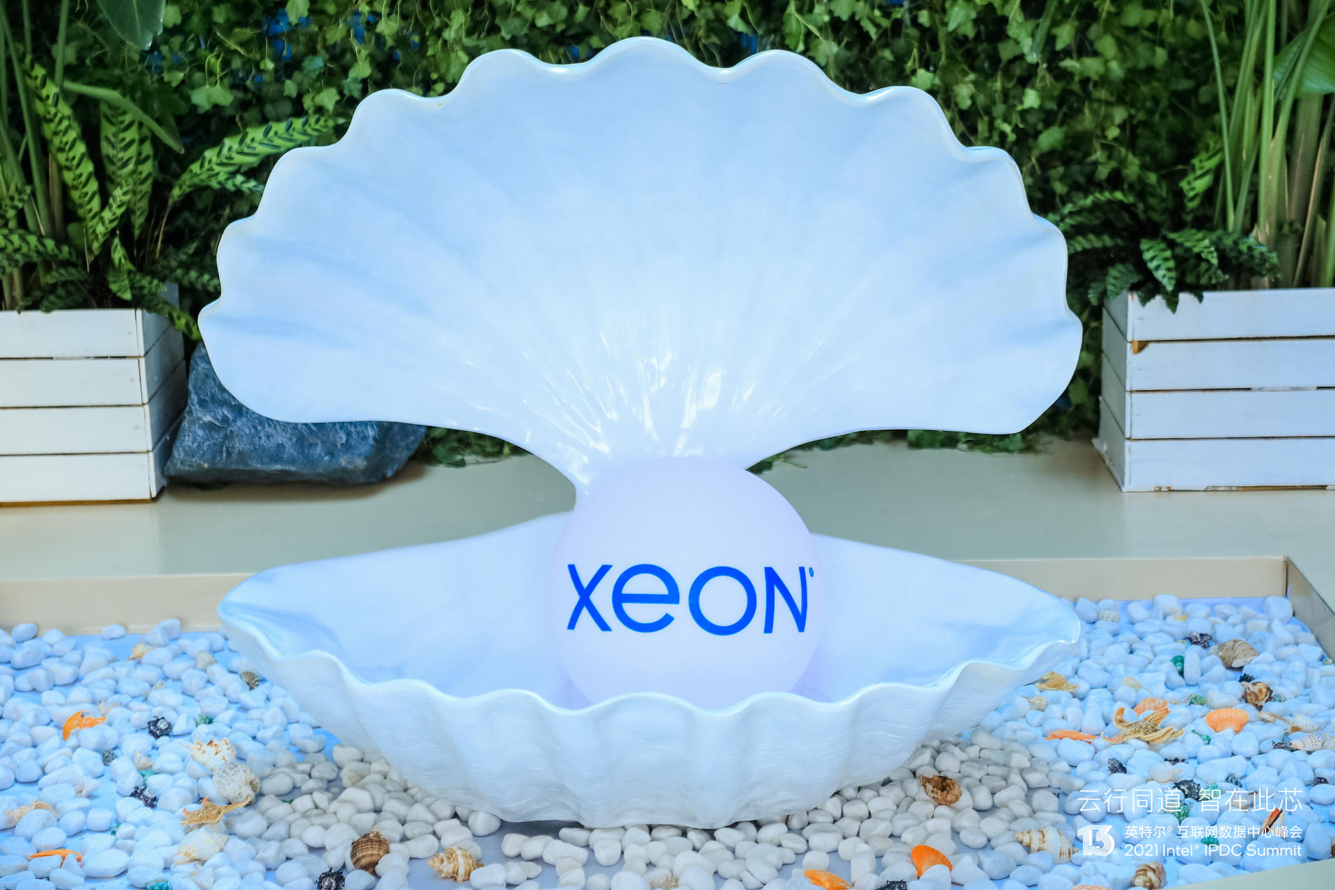 英特爾互聯(lián)網(wǎng)數(shù)據(jù)中心峰會活動策劃解鎖 “芯” 憧憬，織就新 “云” 圖