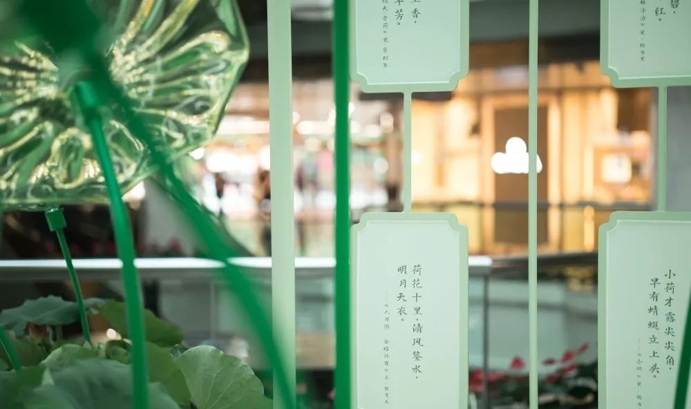 廣州天河城26周年全真荷花主題展覽活動(dòng)策劃打造了一片新奇的消暑之地 - 第4張 - 會(huì)展活動(dòng)策劃CCASY.COM 廣州天河城26周年全真荷花主題展覽活動(dòng)策劃打造了一片新奇的消暑之地 - 第4張