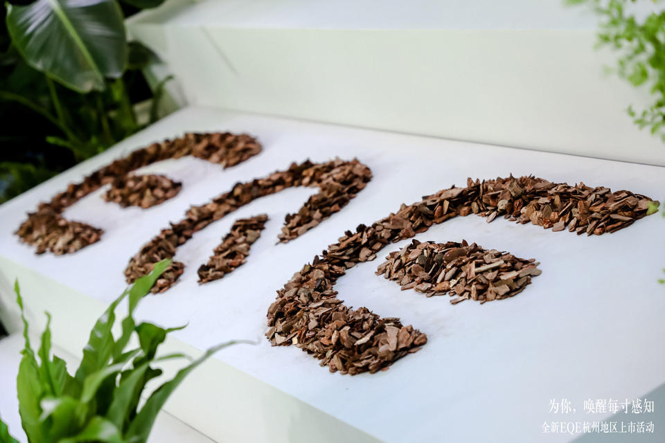 全新EQE杭州上市活動(dòng)策劃打破常規(guī)，從未來(lái)研習(xí)官的鏡頭體驗(yàn)全新秘境